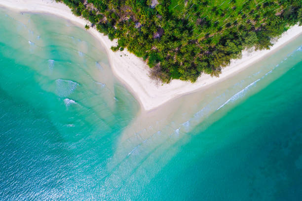 istock Amazing serenity tropical sea beach with tree nature landscape 1263109087