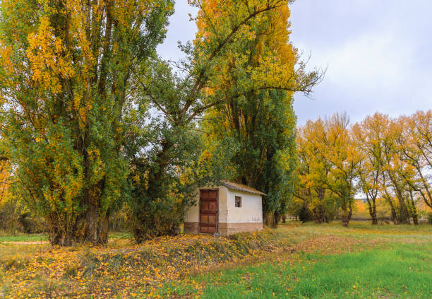Small farm tool shed abandoned in autumn