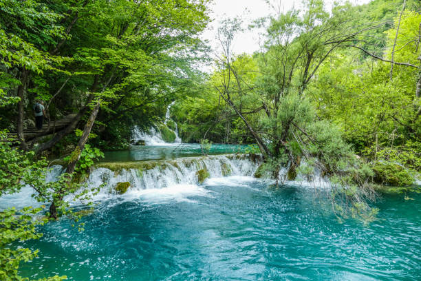 istock plitvice lake in Croatia in spring 1263112799