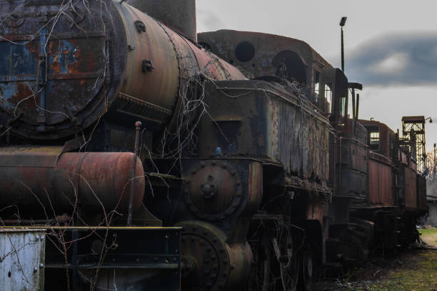 istock rusty overgrown locomotive 1263112961