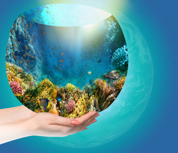 istock Globe in human hand against blue sky. 1263114310