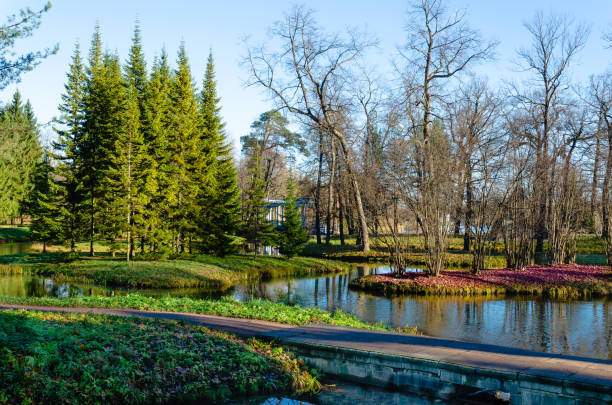 istock Autumn morning Park landscape with a small lake 1263114581