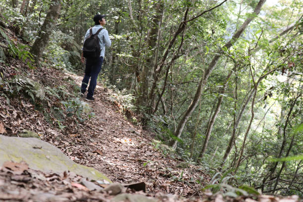 istock Asian man hiking in a good day. 1263118910