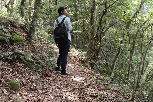 istock Asian man hiking in a good day. 1263118919