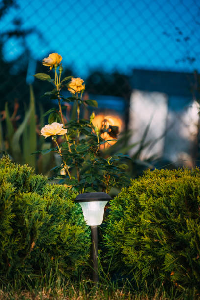 istock Night View Of Flowerbed Illuminated By Energy-Saving Solar Powered Lantern On Courtyard. Beautiful Small Garden Light, Lamp In Flower Bed. Garden Design 1263121244