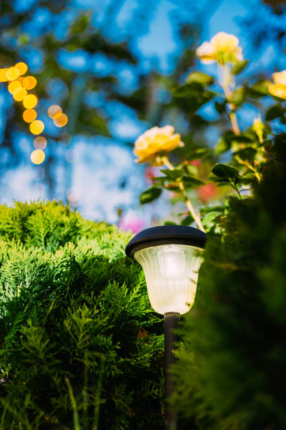 istock Night View Of Flowerbed Illuminated By Energy-Saving Solar Powered Lantern On Courtyard. Beautiful Small Garden Light, Lamp In Flower Bed. Garden Design 1263121359