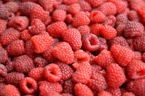ripe raspberries background