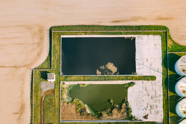 vue aérienne des bassins de rétention, de l’étang humide, du bassin de détention humide ou de l’étang de gestion des eaux pluviales près de l’usine de biogaz biogaz de la ferme porcine. étang artificiel avec la végétation autour du périmèt - retention pond photos et images de collection