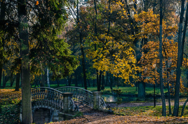 istock Autumn landscape in the Park. 1263122383