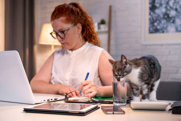 istock Woman working late from home with a cute cat 1263124198