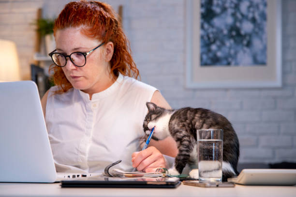 Woman working from home kitten playing with her pen Woman with glasses sitting behind home office desk her cat is biting her pen while she works. Working from home with pets. Cute cat is playing with a pen while her owner works on computer. Cat chewing a pen. dyed red hair photos stock pictures, royalty-free photos & images