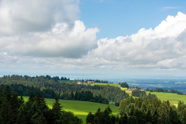 istock View of Lake Constance from tree top walk in Scheidegg, Germany 1263129162