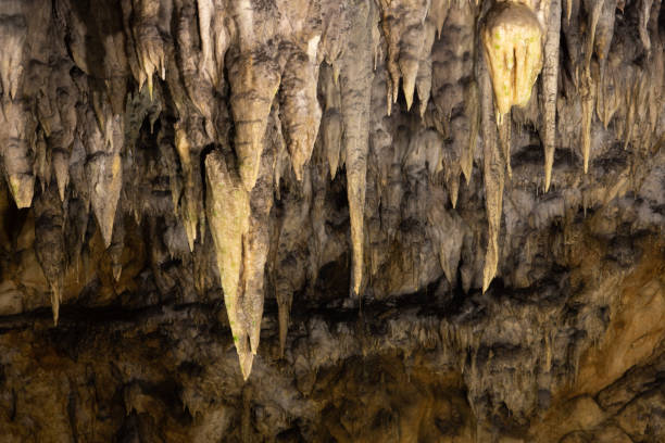 Cave decoration - stalactites Number of stalactites hanging from the ceiling of the cave stalactite stock pictures, royalty-free photos & images