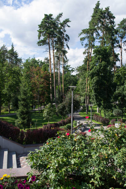 istock Summer park landscape. Sunny day. 1263132286