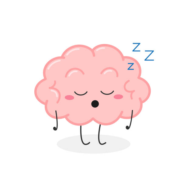 Funny sleeping cartoon brain character Cute funny cartoon brain character dozing off on his way. Vector illustration isolated on white background flat thinking emoji stock illustrations