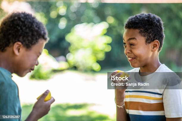 Two Boys Are Eating A Lemon And Frowning On A Beautiful Sunny Day Stock Photo - Download Image Now