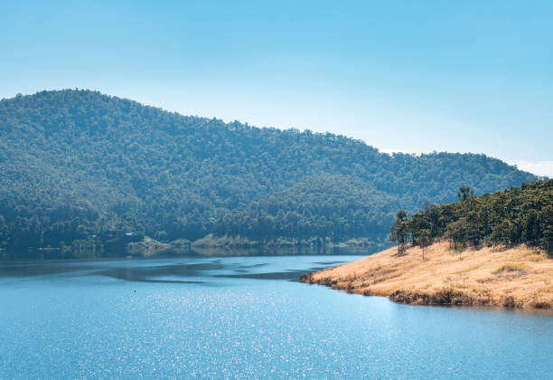 istock Forest island in water reservoir lake 1263135397