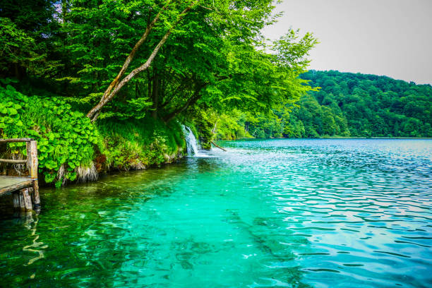 plitvice lake in Croatia in spring