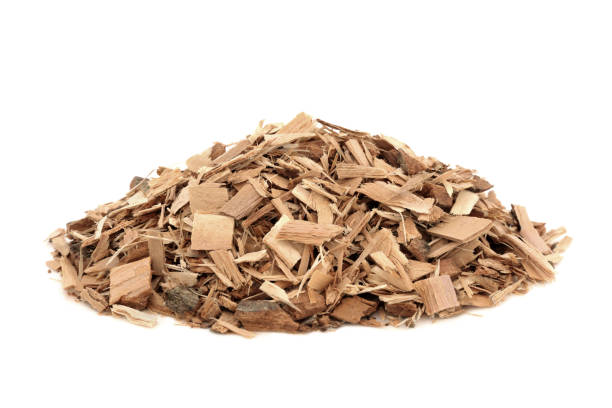 istock Poplar Bark Herb Herbal Medicine 1263143937