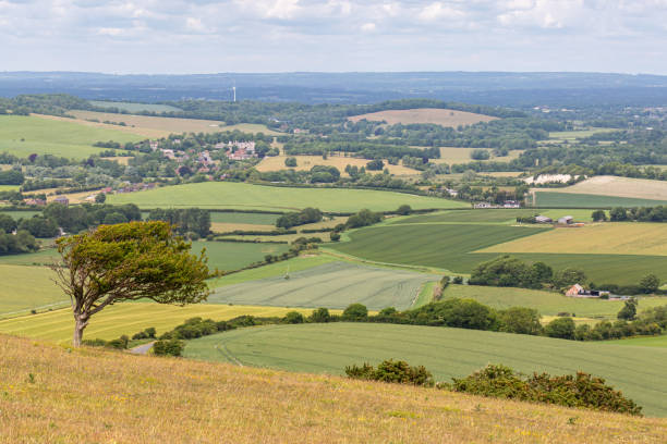 istock Rural Sussex Landscape 1263145636