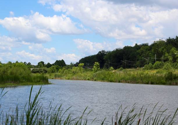 istock Peaceful Pond in the Country 1263146428
