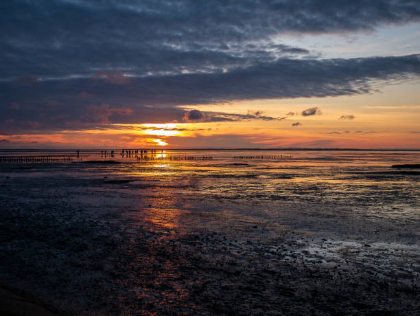 istock Wadden Sea at low tide and sunset 3 1263146651