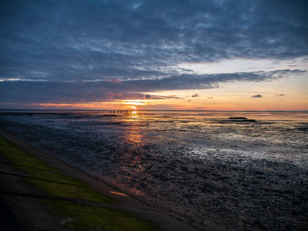 istock Wadden Sea at low tide and sunset 2 1263146655