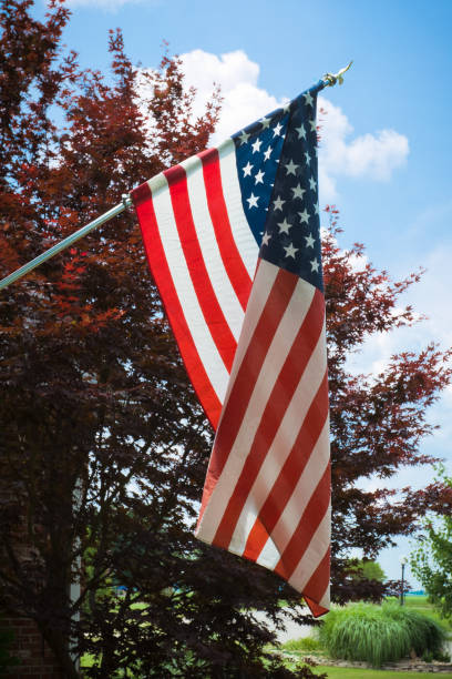 istock Stars and Stripes on a sunny day 1263152916