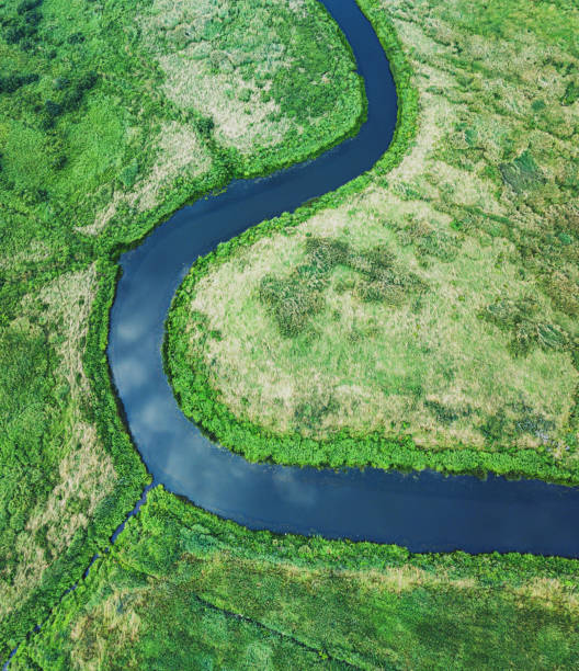 istock Aerial View of Wetland 1263153029