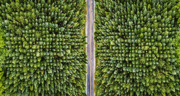 280+ Tree Farm From Above Stock Photos, Pictures & Royalty-Free Images ...