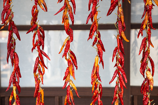 Dried red hot chili peppers at Japanese old village Uchiko town in Ehime, Shikoku, Japan