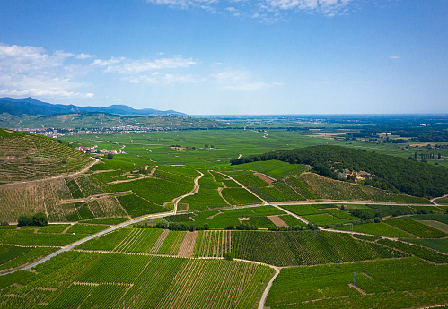 Aerial view of  vineyards between Katzenthal and Turckheim  Alsace
