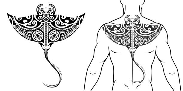 illustrations, cliparts, dessins animés et icônes de modèle de tatouage tribal maori avec le rayon de manta ajustement pour un dos, coffre. avec l’exemple sur le corps. - manta ray maori tattoo pattern