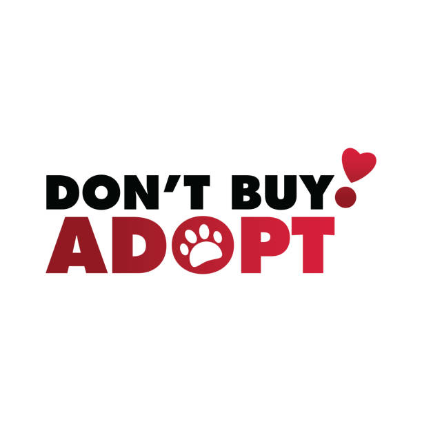 Don't Buy, Adopt-. Hand drawn inspirational quote about pet. Lettering for posters, t-shirts, cards, invitations, stickers, banners.
