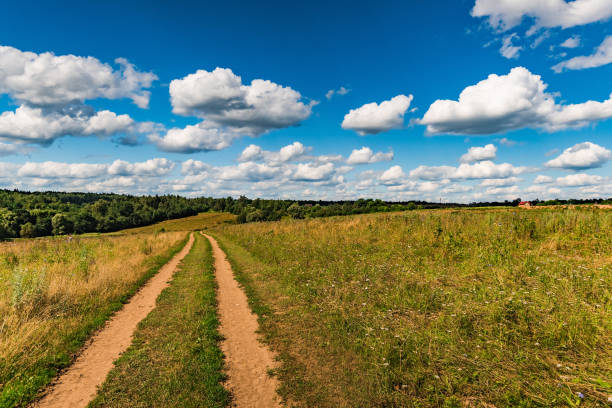 istock rural landscape dirt road in the field 1263159775