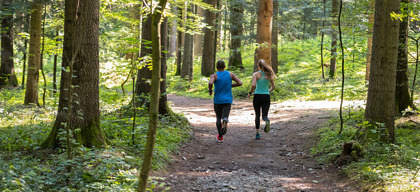 Two friends runinig through the woods. They are preparing for a marathon.