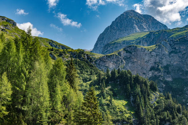 mountain mangart w parku narodowym triglav, primorska, alpy julijskie, słowenia, europa - mountain valley european alps shade zdjęcia i obrazy z banku zdjęć