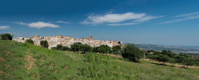 Ferrandina, panoramic view of the town surrounded by the olive trees of Lucania. White houses in the blue sky, among the green of the olive trees.