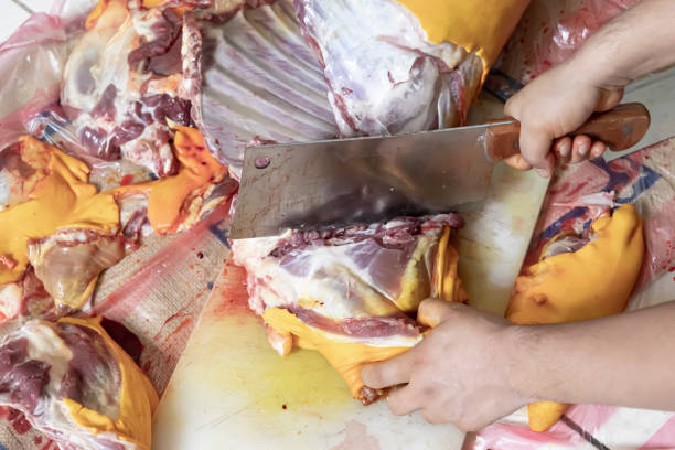 Close up view of butcher chopping a raw Lamb and mutton using a sharp knife on a wooden cutting board at the kitchen. Selective focus on foregrounds.