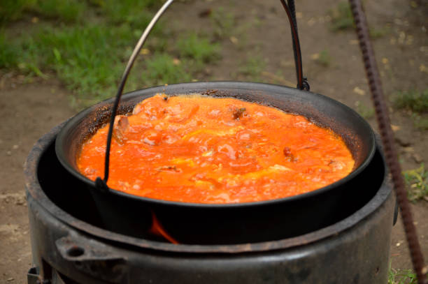 istock pepper red soup with mixed meet in cauldron 1263166459