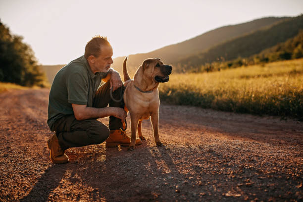 istock Senior man walking his dog 1263166543