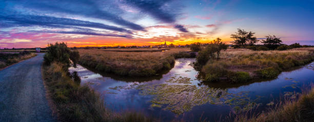 panoramic view of the salt marshland at sunrise, olonne area, vendee, france - swamp moody sky marsh standing water imagens e fotografias de stock