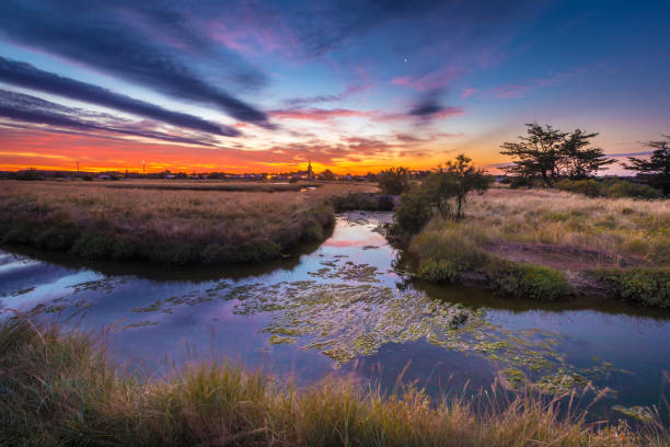 vista panorâmica do pântano salgado ao nascer do sol, área de olonne, vendee, frança - swamp moody sky marsh standing water - fotografias e filmes do acervo