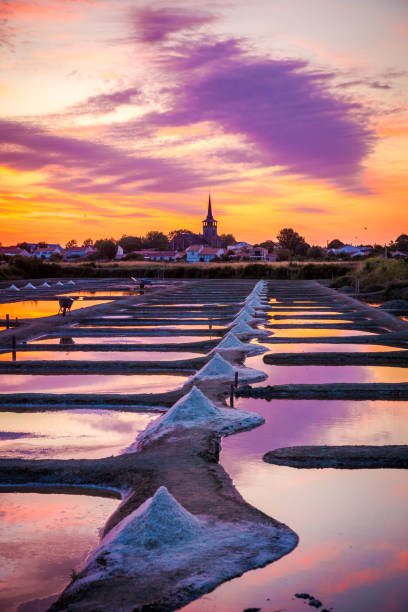 панорамный вид на солончак на восходе со�лнца, район олонне, венди, франция - vendee стоковые фото и изображения