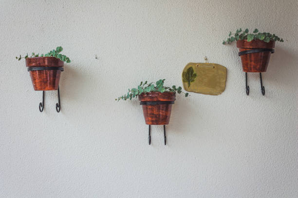 istock Three flower pots hanging from a white wall with a blank plaque 1263170157