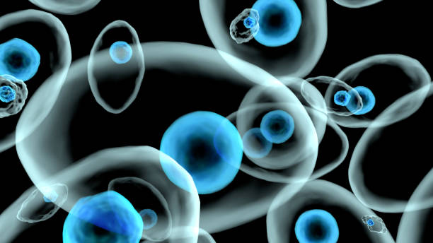 현미경의 밑에 살아있는 세포의 3d 삽화 - cytoblast 뉴스 사진 이미지