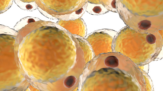 3D illustration of a cluster of Fat cells isolated on white.
