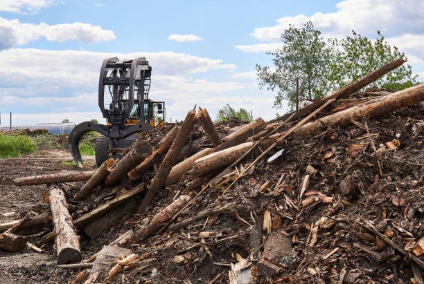 istock pile of old logs ready for processing and grapple skidder on the background in a woodworking factory 1263178462