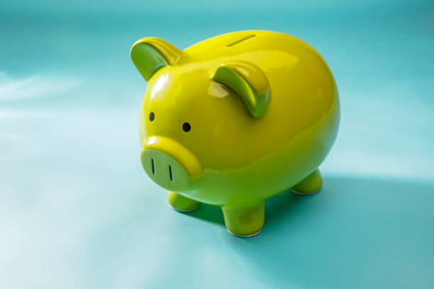 istock Large Green Piggy Bank on Blue Background 1263185926