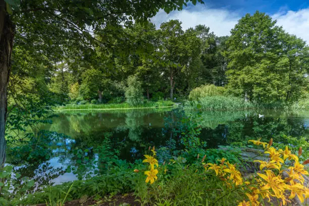 Photo of Beautiful University of Tartu Botanical Gardens in Tartu, the second largest city of Estonia. and the intellectual centre of the country, home to the nation's oldest and most renowned university